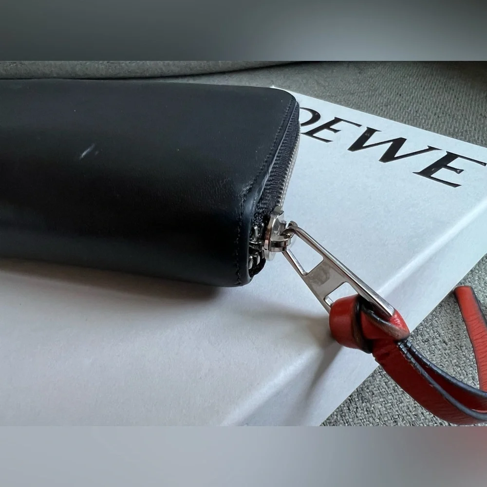 Loewe Rainbow Collection Zippy Wallet
